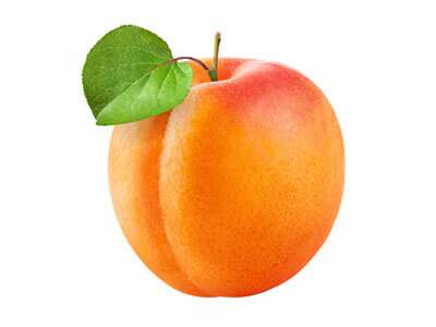 APRIKOSE